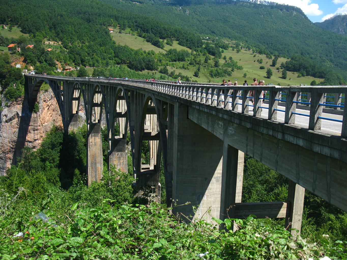 Tara Bridge